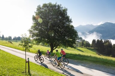 Radfahrer auf dem Tauernradweg im Salzachtal | © D. Innerhofer