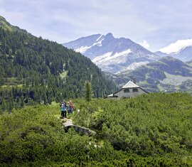 Wandergruppe im Wiegenwald in der Weißsee Gletscherwelt im Nationalpark Hohe Tauern | © Ferienregion Nationalpark Hohe Tauern - Michael Huber