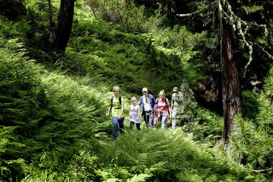 Theme Trail, Ranger, National Park, Children, Nature | © Ferienregion NPHT_Michael Huber