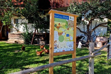 Themenweg, Wissenswertes, kindgerecht, Landwirtschaft | © Tourismusverband Uttendorf/Weißsee