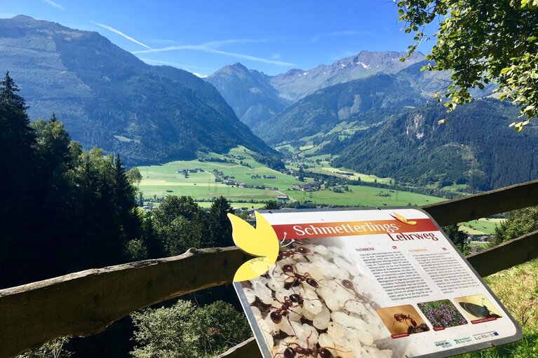 Infotafel am Schmetterlingslehrweg mit Blick auf Uttendorf | © Tourismusverband Uttendorf / Weißsee