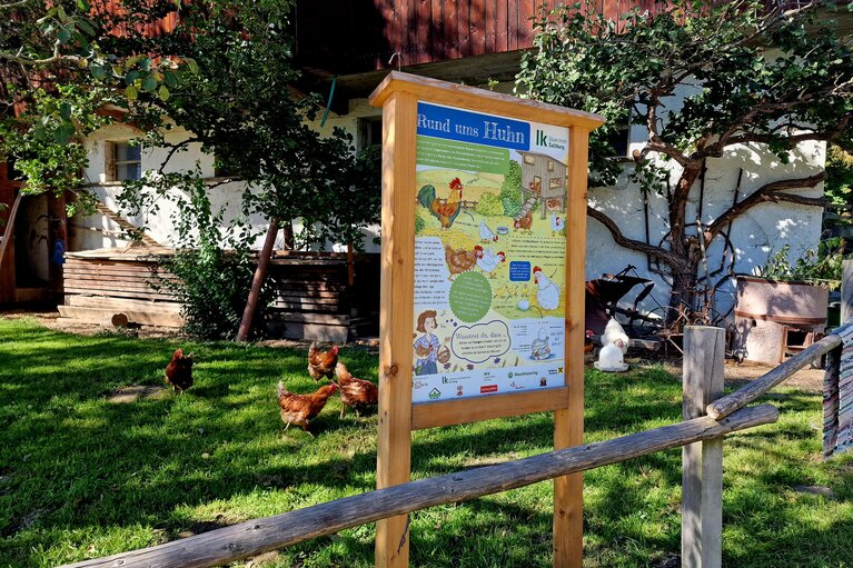 Infotafel am Themenweg Landwirtschaft in Litzldorf bei Uttendorf | © Tourismusverband Uttendorf / Weißsee
